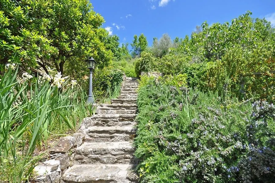 Borgo Del Castagno Guest House Cortona 0*,