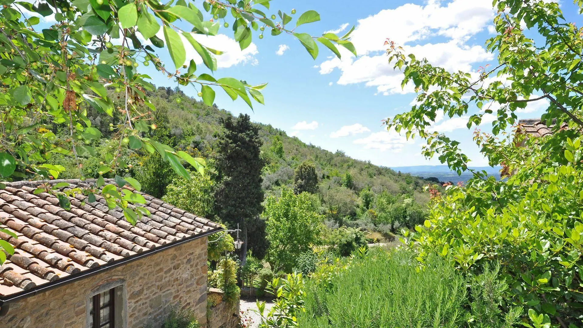 Borgo Del Castagno Guest House Cortona