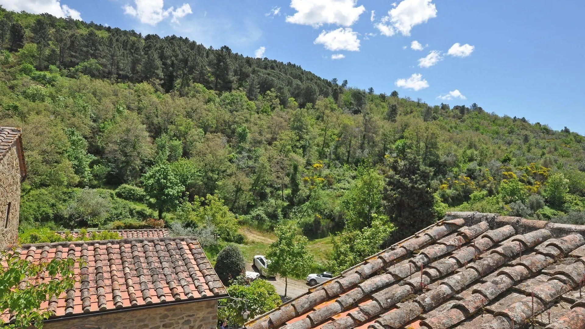Country house Borgo Del Castagno Guest House Cortona